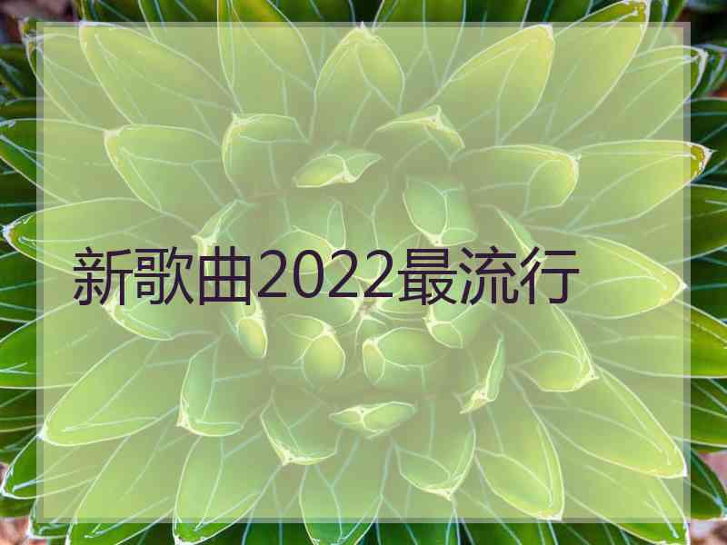 新歌曲2022最流行