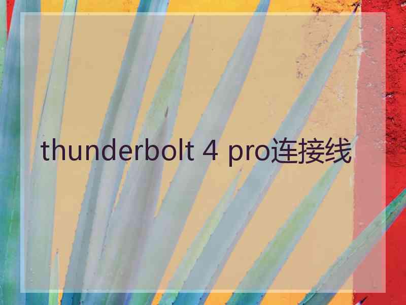 thunderbolt 4 pro连接线