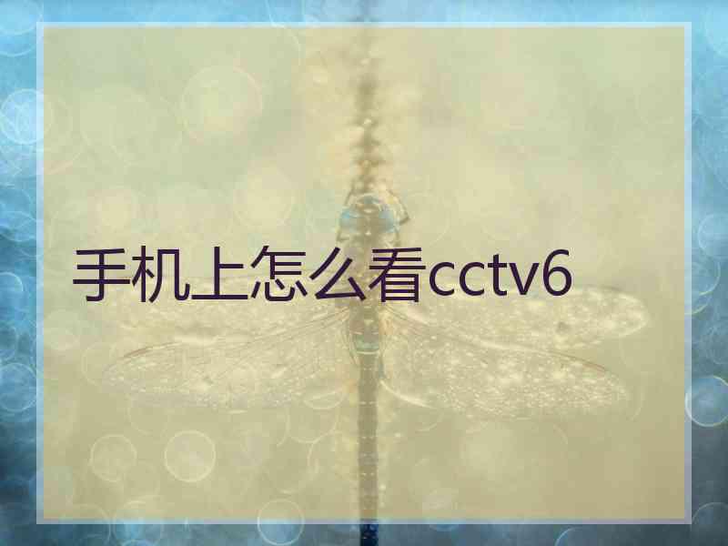 手机上怎么看cctv6