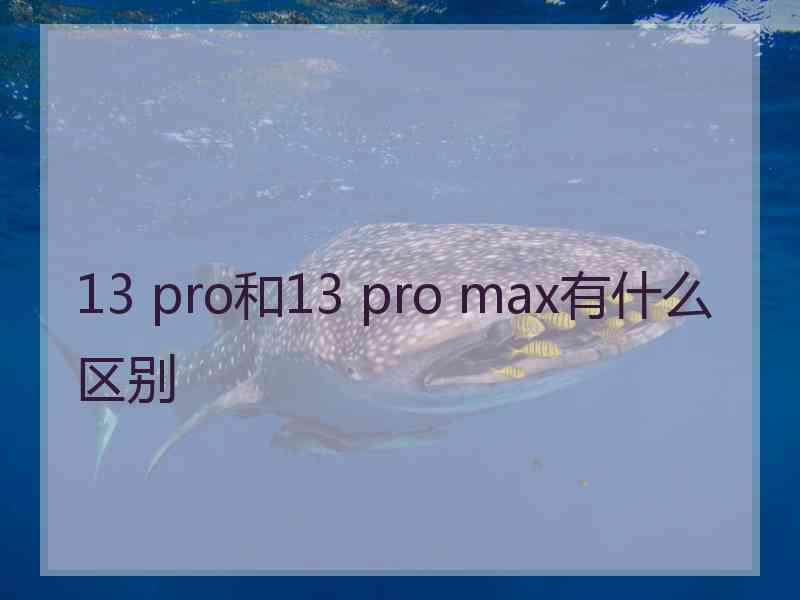 13 pro和13 pro max有什么区别