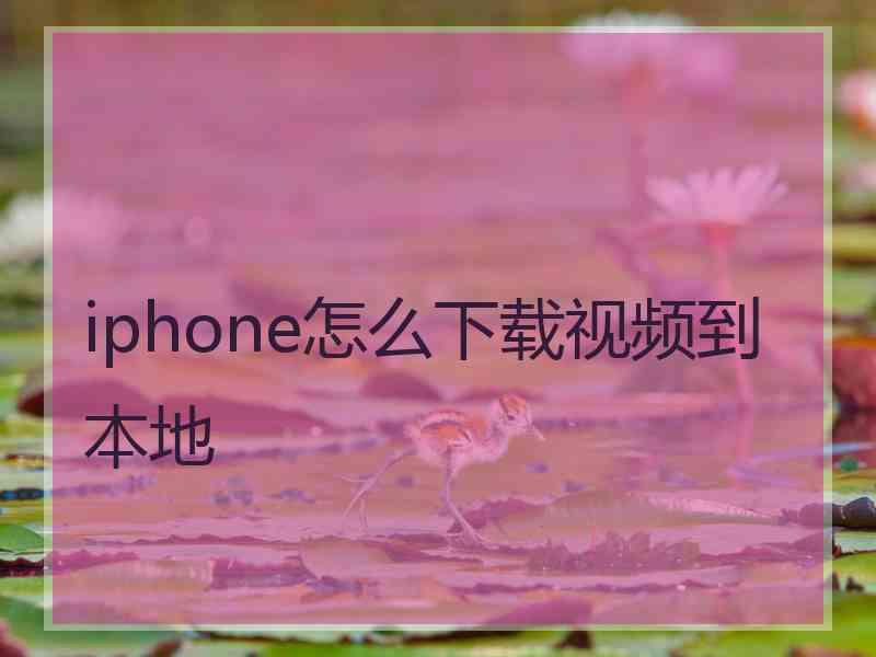 iphone怎么下载视频到本地