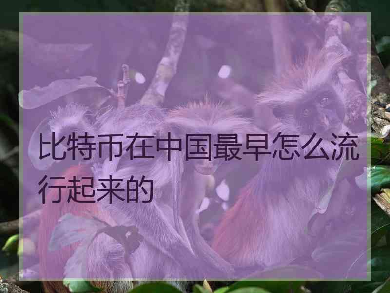 比特币在中国最早怎么流行起来的