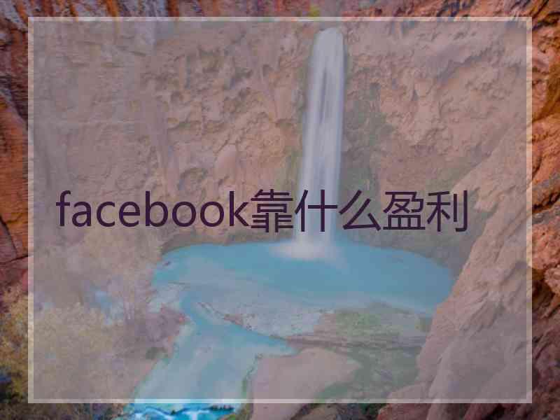 facebook靠什么盈利