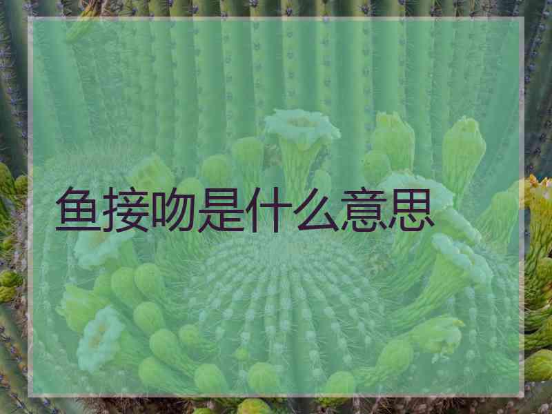 鱼接吻是什么意思