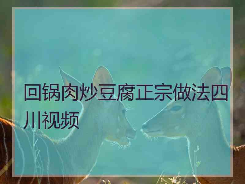 回锅肉炒豆腐正宗做法四川视频