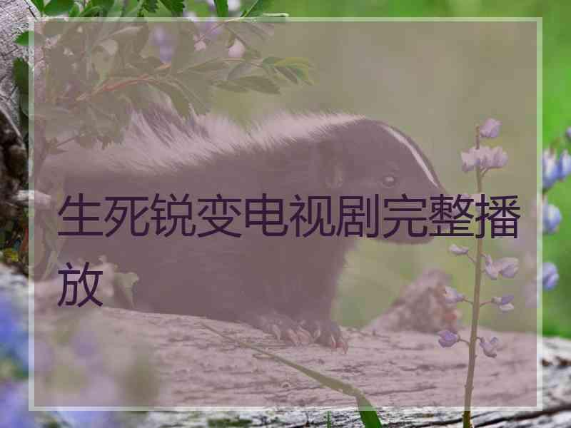 生死锐变电视剧完整播放