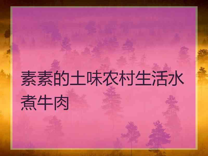 素素的土味农村生活水煮牛肉