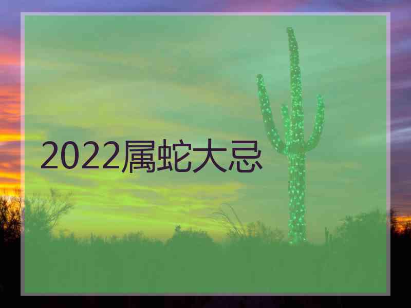 2022属蛇大忌