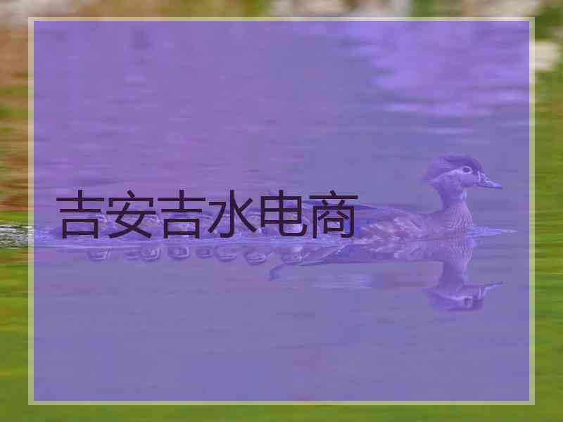 吉安吉水电商