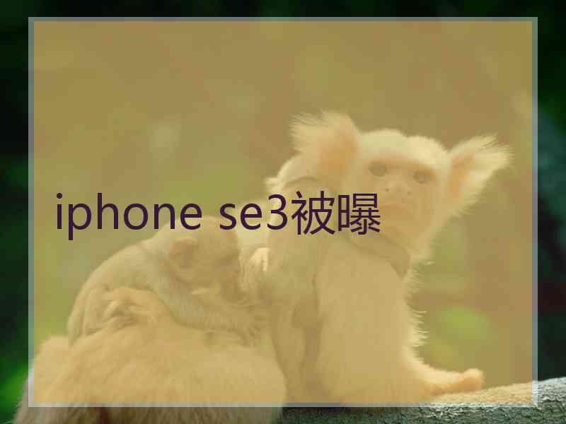 iphone se3被曝