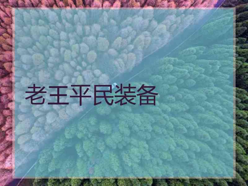 老王平民装备