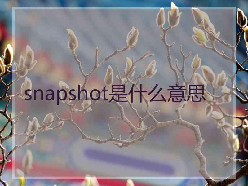 snapshot是什么意思