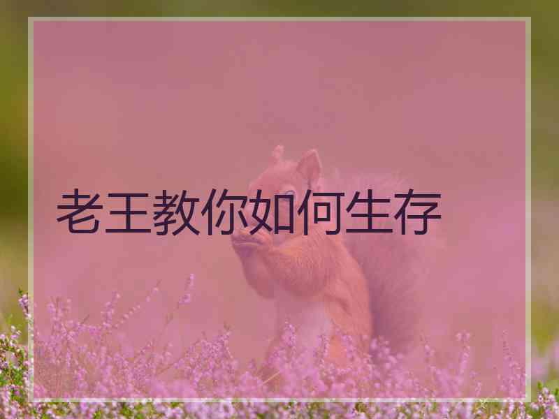 老王教你如何生存