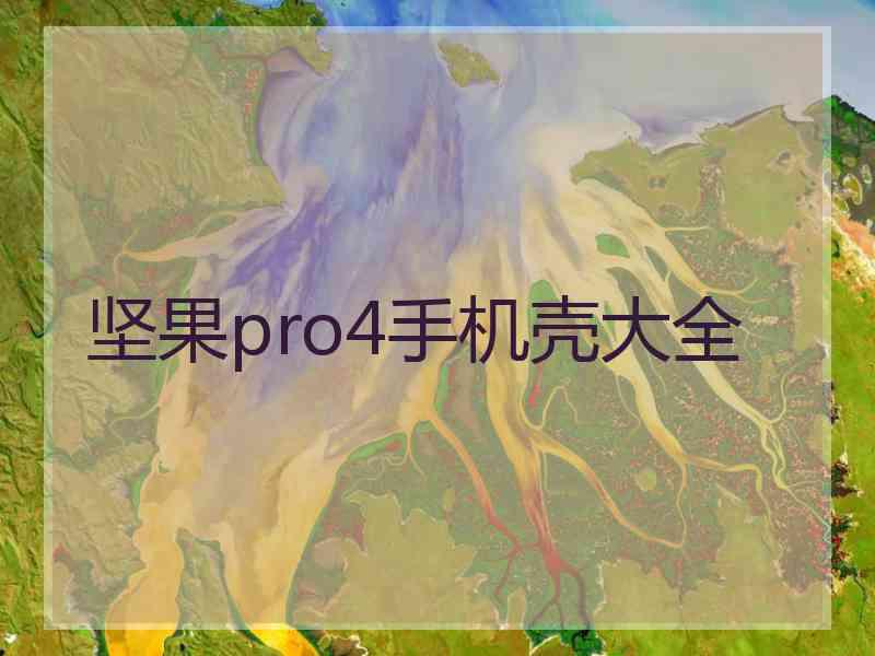 坚果pro4手机壳大全