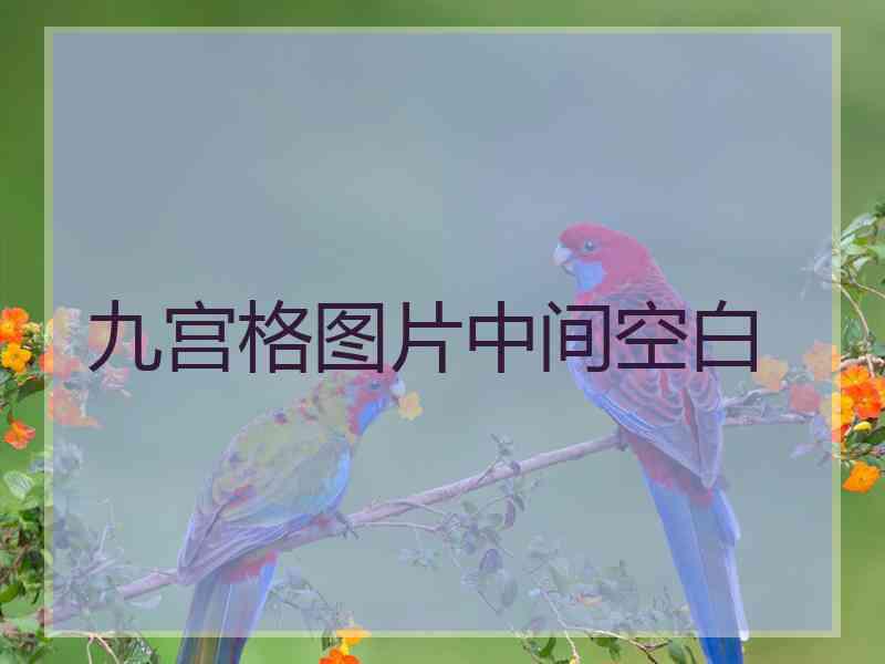 九宫格图片中间空白