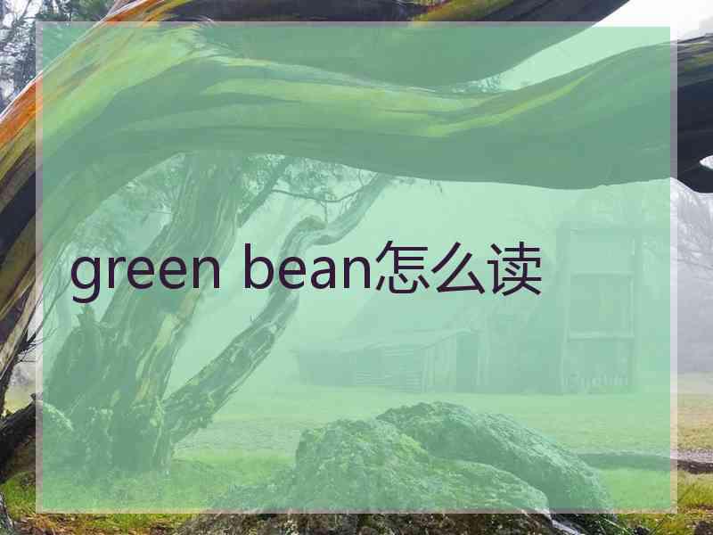 green bean怎么读