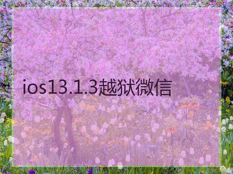 ios13.1.3越狱微信