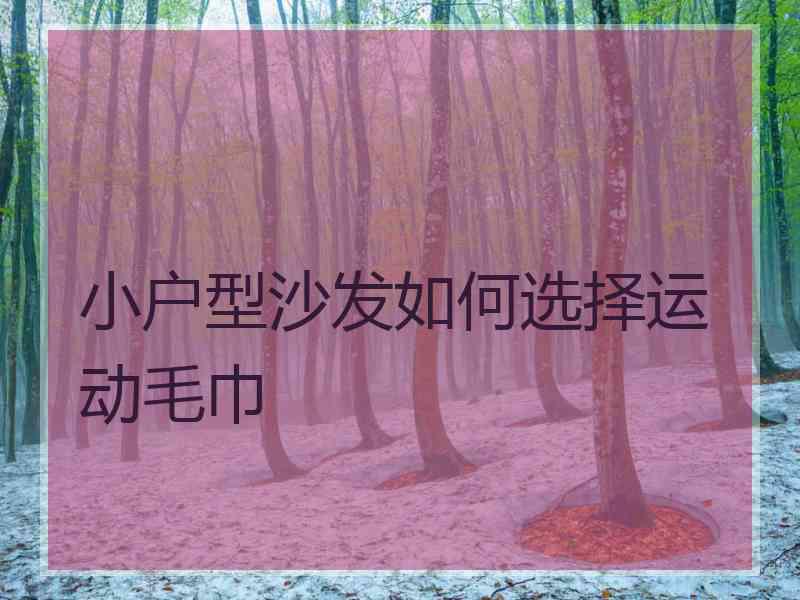 小户型沙发如何选择运动毛巾