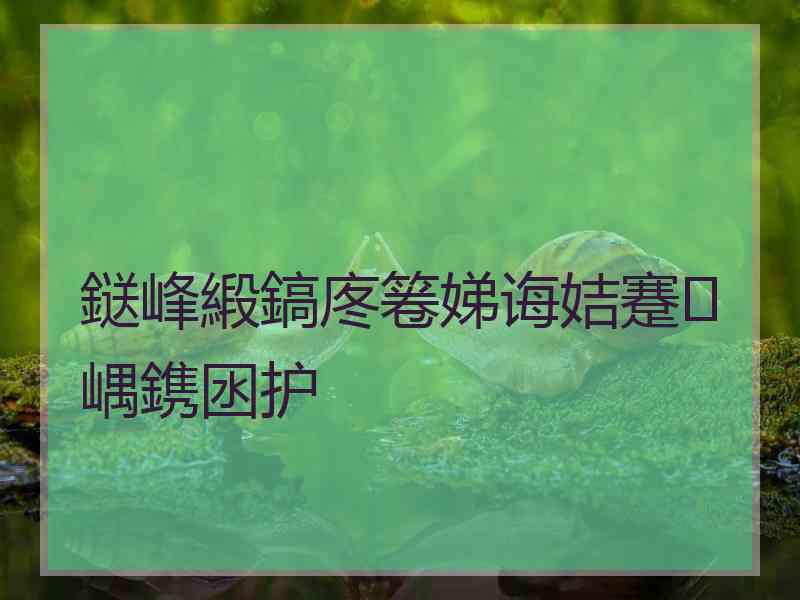 鎹峰緞鎬庝箞娣诲姞蹇嵎鎸囦护