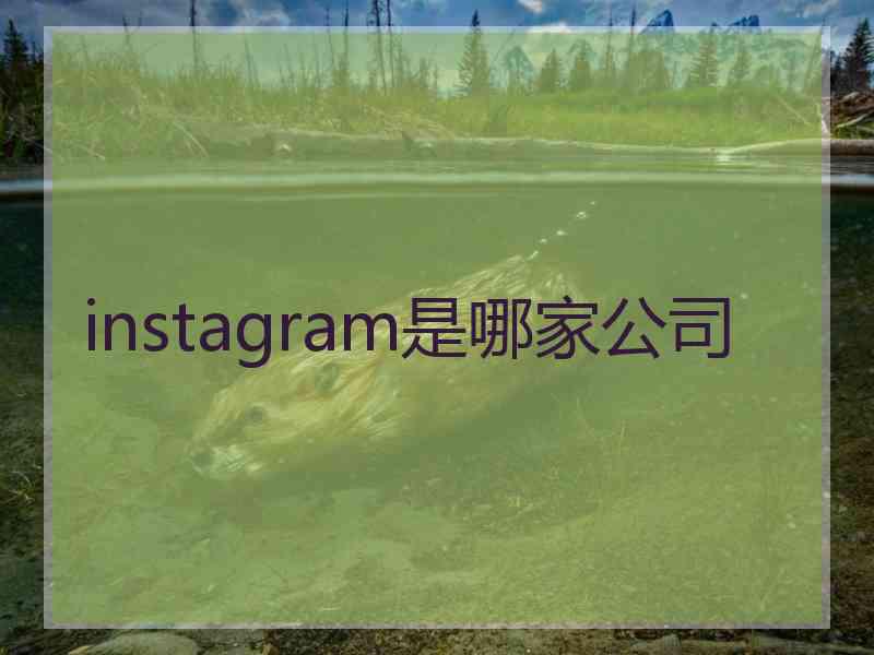 instagram是哪家公司