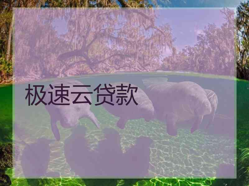 极速云贷款