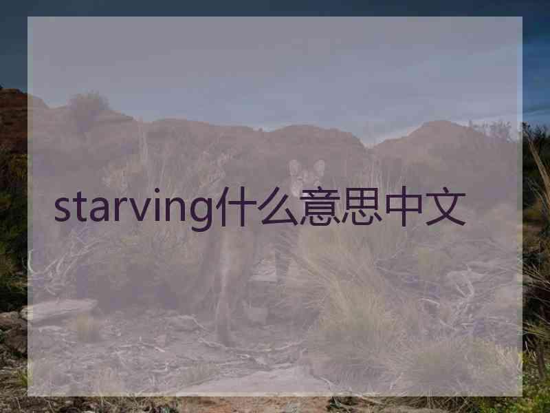 starving什么意思中文