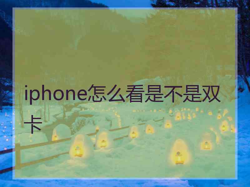 iphone怎么看是不是双卡