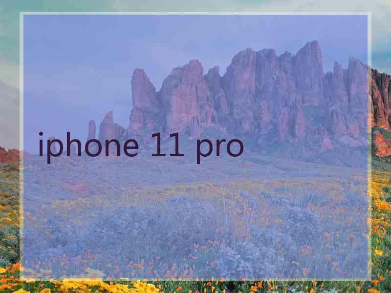 iphone 11 pro