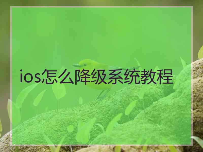 ios怎么降级系统教程