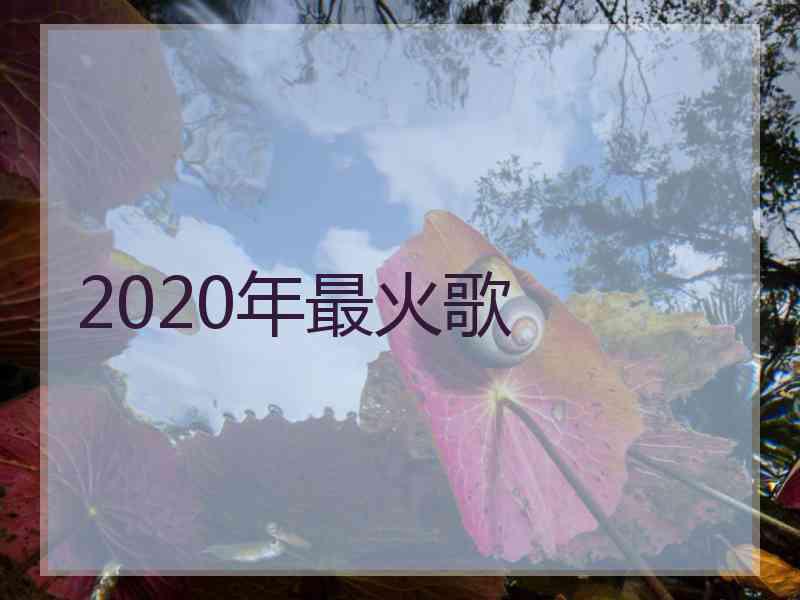 2020年最火歌