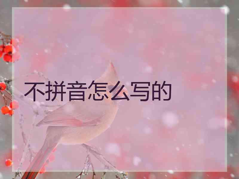 不拼音怎么写的