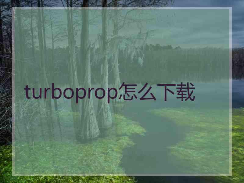 turboprop怎么下载