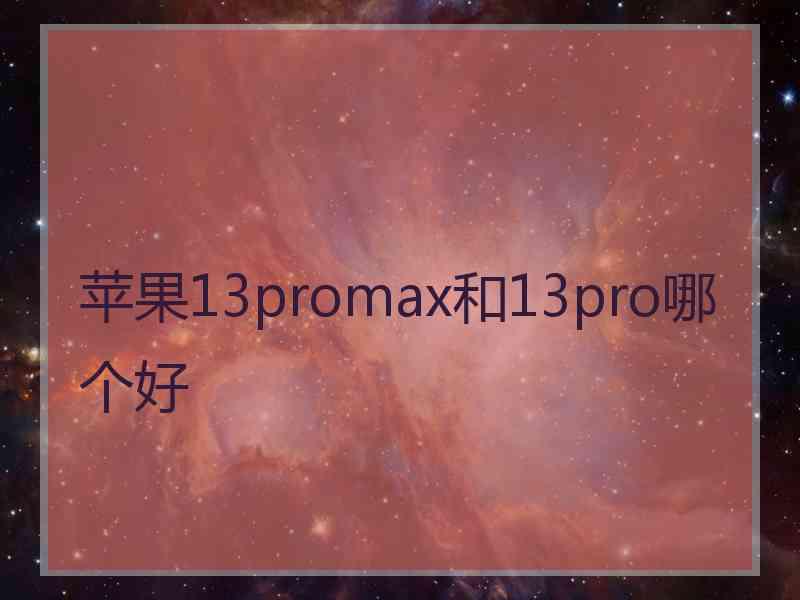 苹果13promax和13pro哪个好