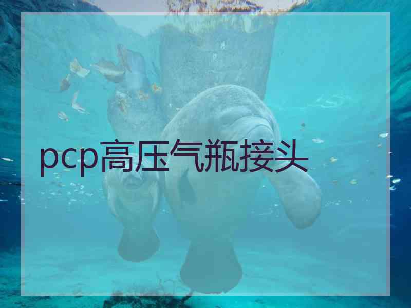 pcp高压气瓶接头