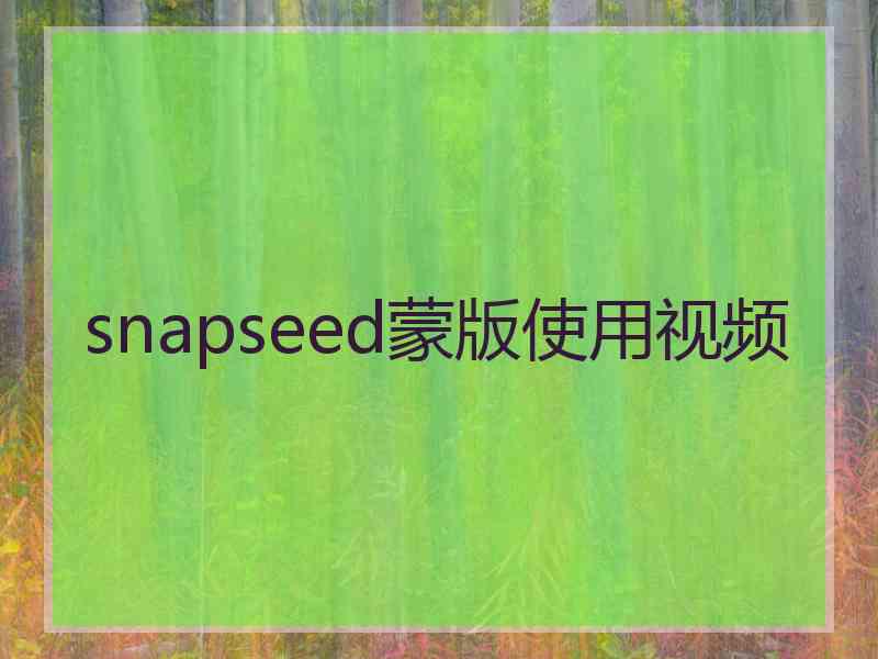 snapseed蒙版使用视频