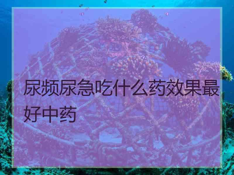 尿频尿急吃什么药效果最好中药