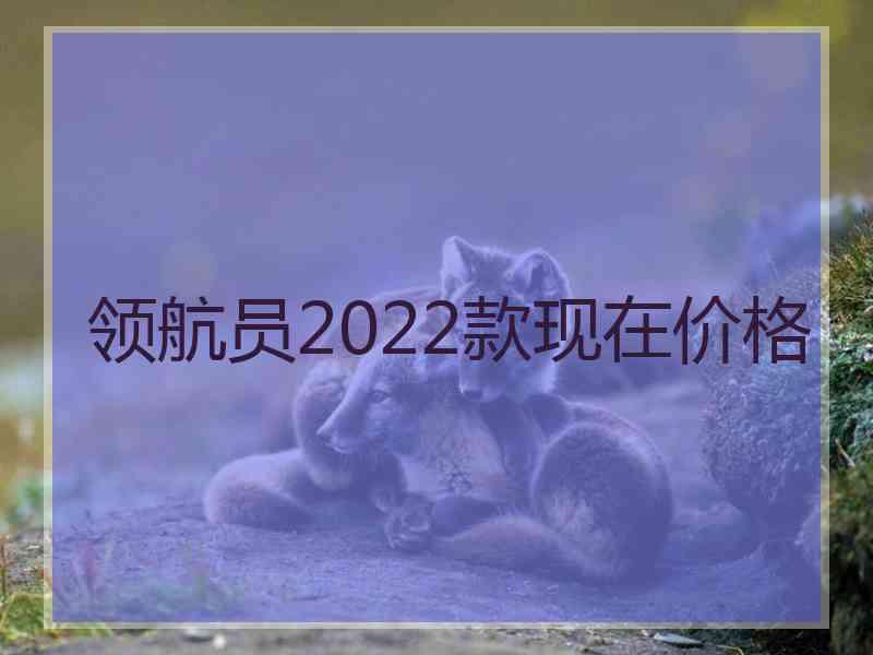 领航员2022款现在价格