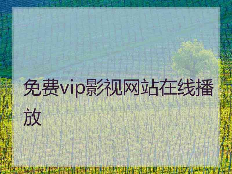 免费vip影视网站在线播放