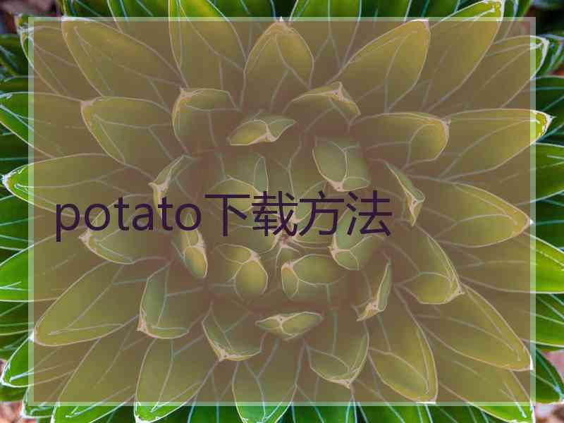 potato下载方法