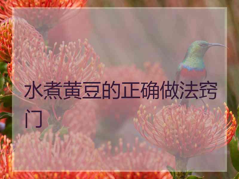 水煮黄豆的正确做法窍门