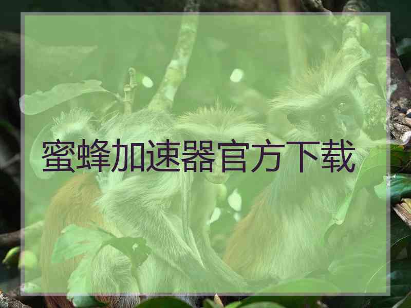 蜜蜂加速器官方下载