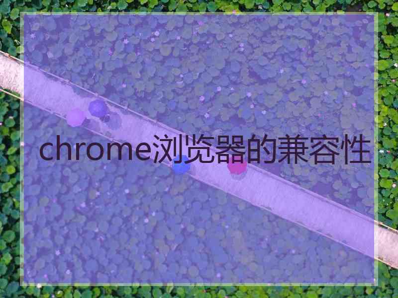 chrome浏览器的兼容性