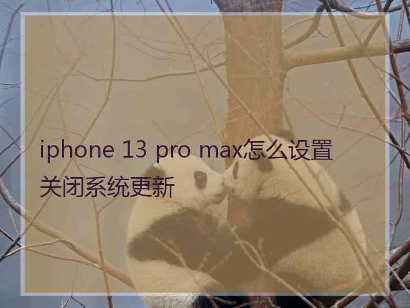 iphone 13 pro max怎么设置关闭系统更新