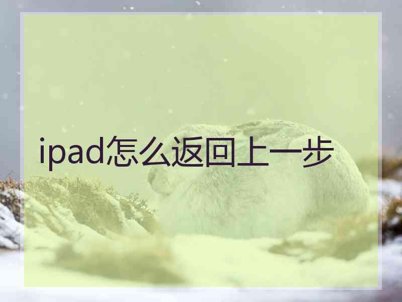 ipad怎么返回上一步