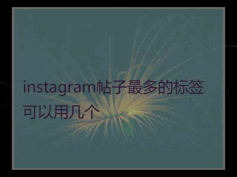 instagram帖子最多的标签可以用几个