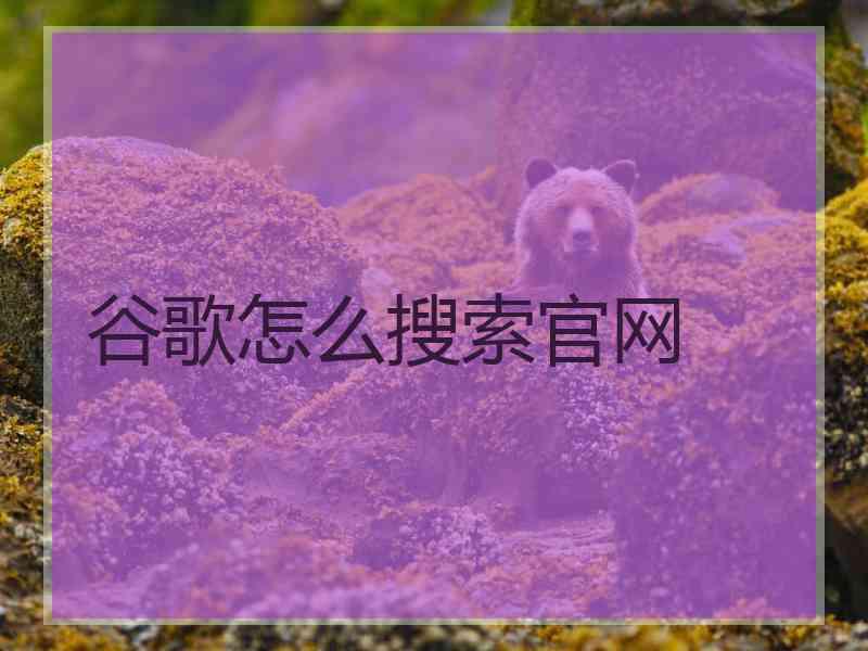 谷歌怎么搜索官网