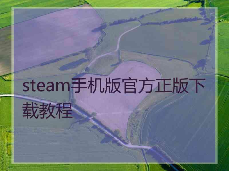 steam手机版官方正版下载教程