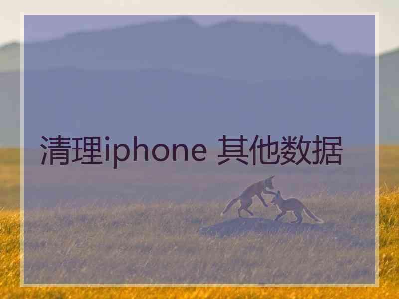 清理iphone 其他数据