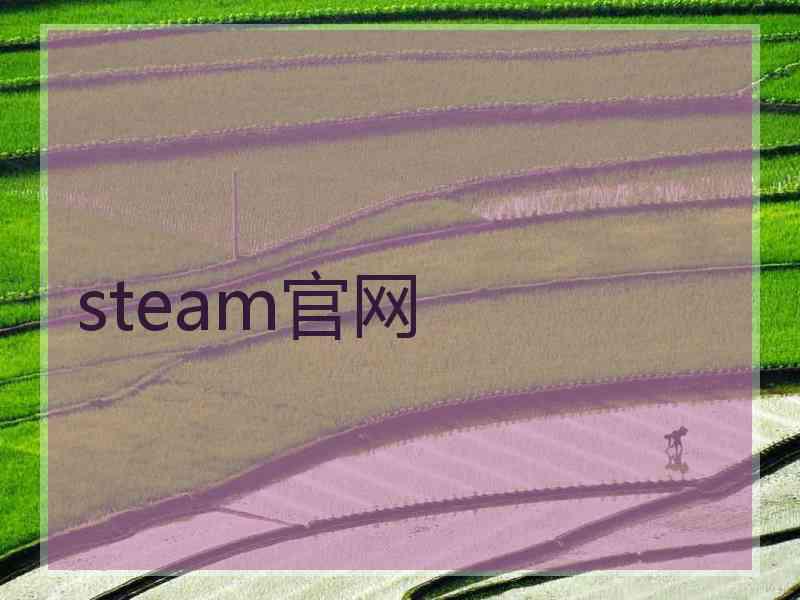 steam官网