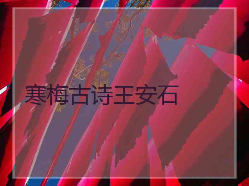 寒梅古诗王安石